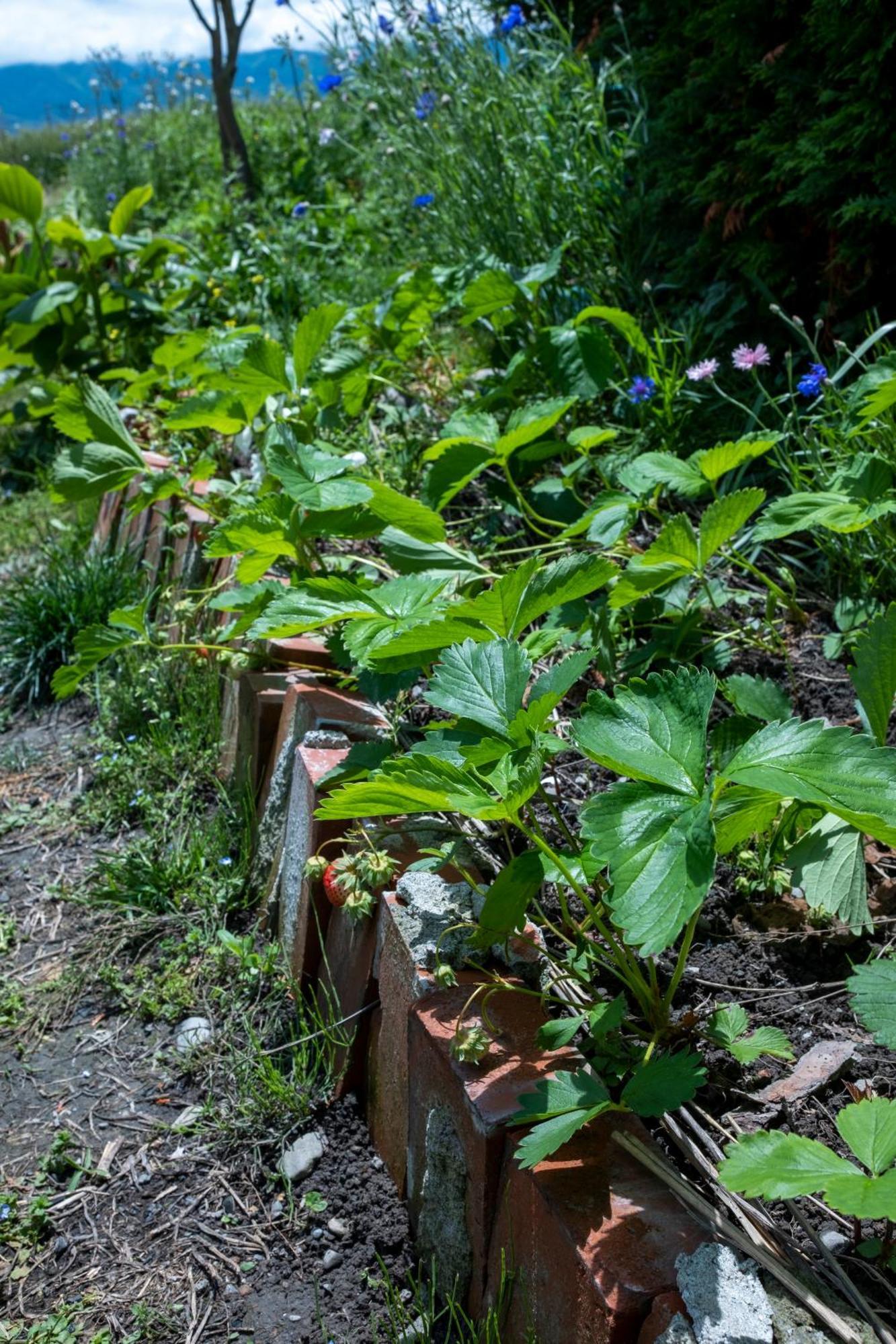 Ferienwohnung Nonna Milli Matsumoto Exterior foto