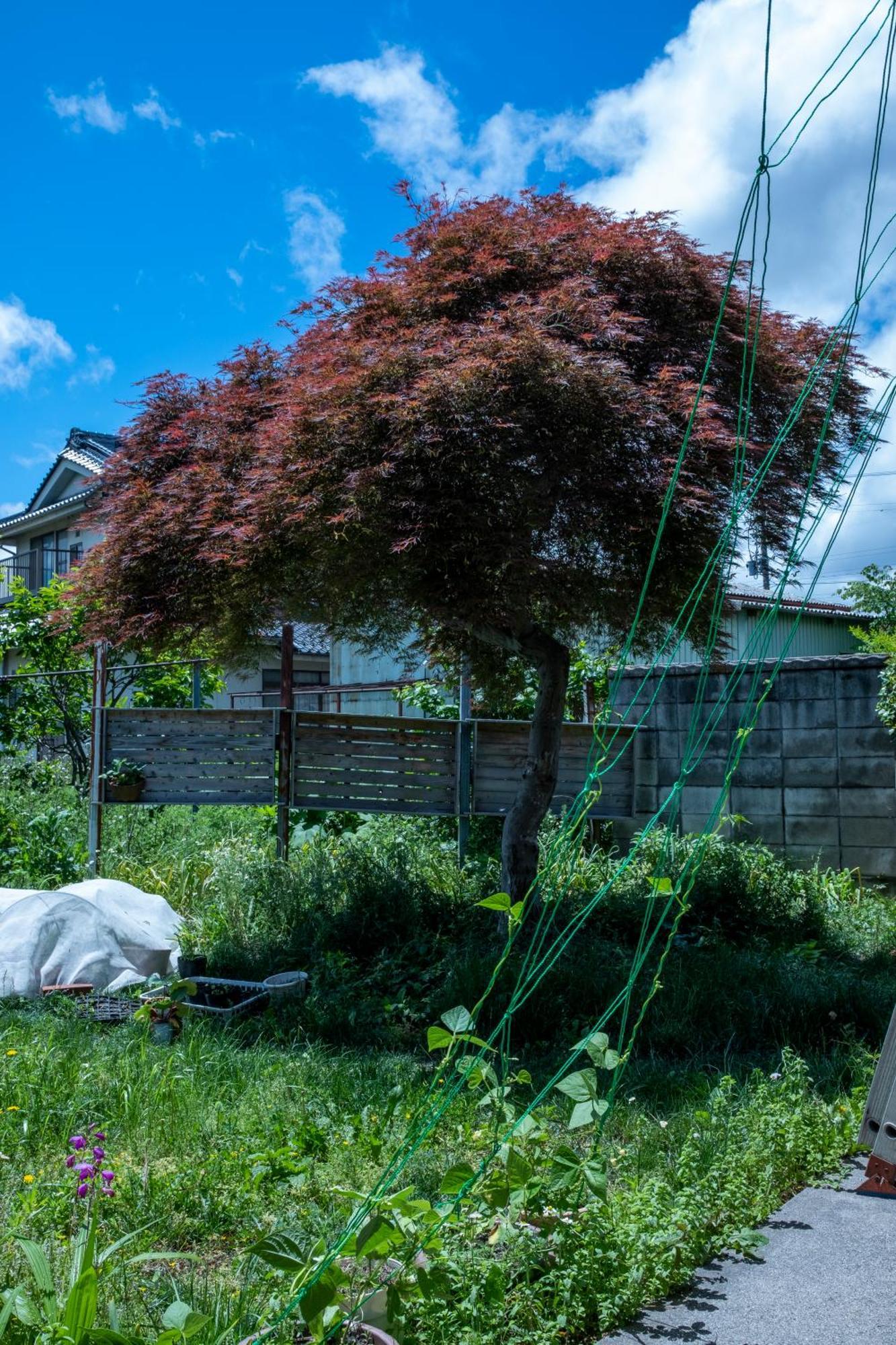 Ferienwohnung Nonna Milli Matsumoto Exterior foto